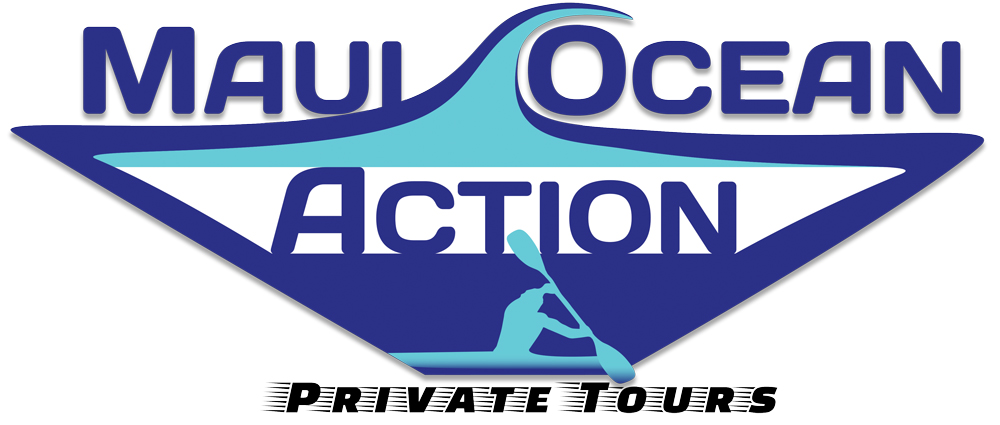 Maui-Ocean-Action-main-logo-RGB-stylized-shadow